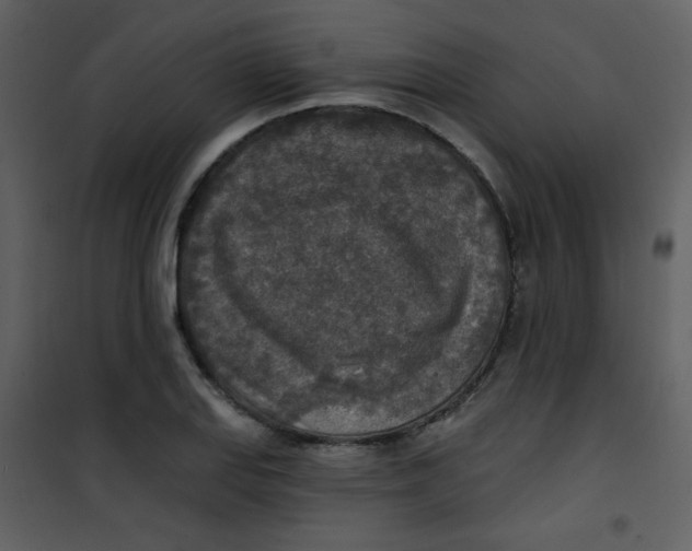 X0000101151127200807181327