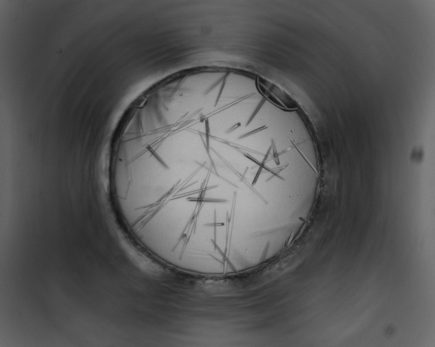 X0000101151128200807181327