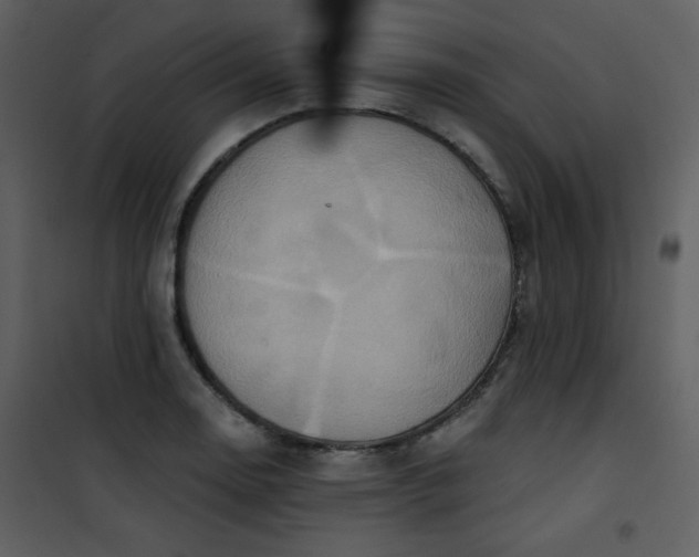 X0000101151130200807181327