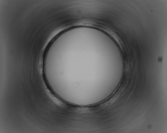 X0000101151131200807181327