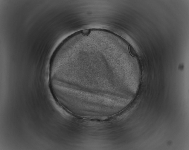 X0000101151132200807181327