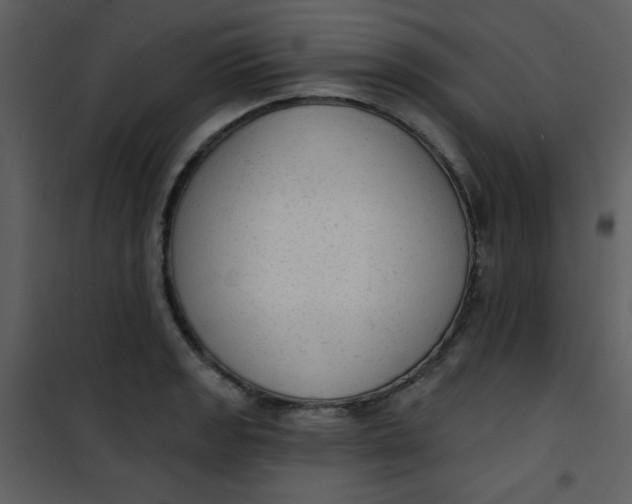 X0000101151133200807181327