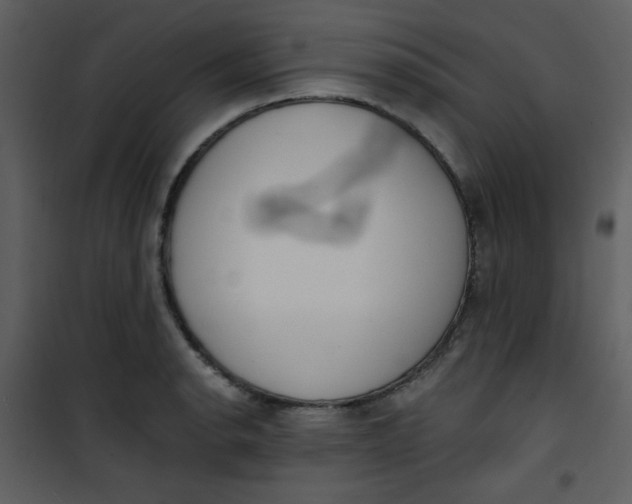 X0000101151134200807181327