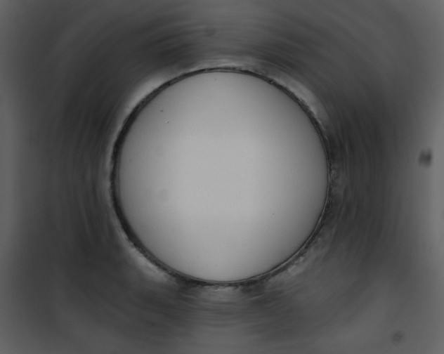 X0000101151135200807181327