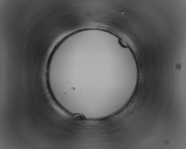 X0000101151136200807181327