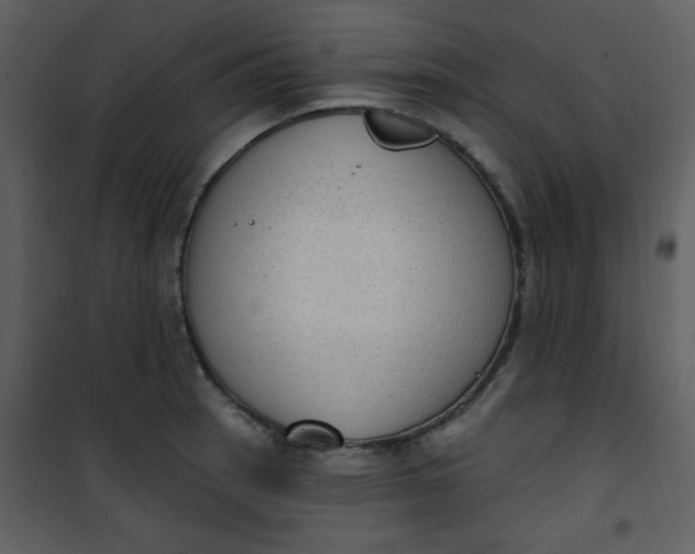 X0000101151137200807181327