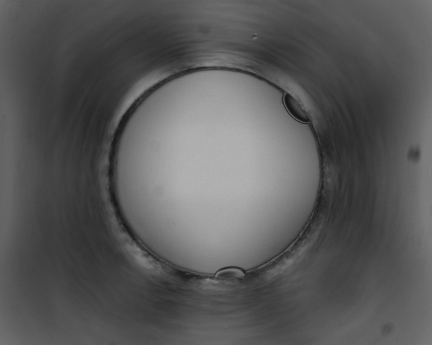 X0000101151138200807181327