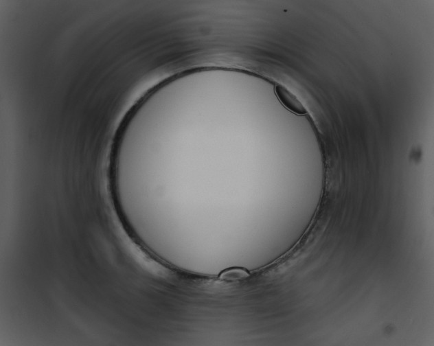 X0000101151139200807181327