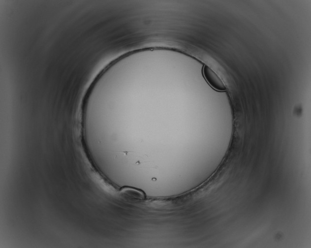 X0000101151140200807181327