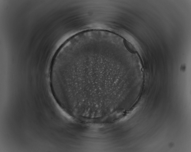 X0000101151141200807181327