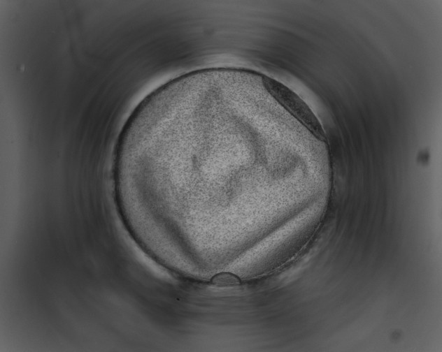 X0000101151142200807181327