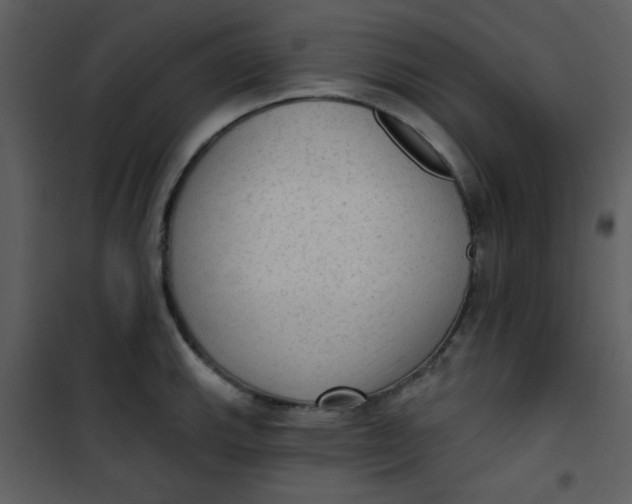 X0000101151143200807181327