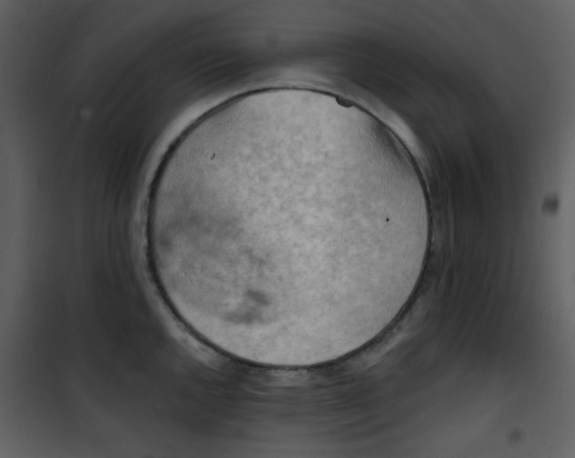 X0000101151144200807181327