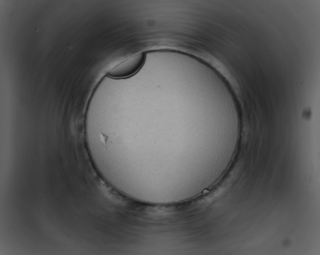 X0000101151145200807181327