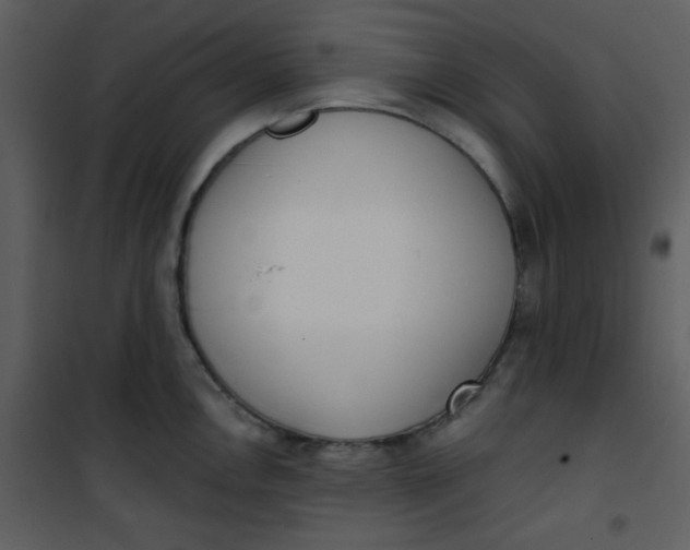 X0000101151146200807181328