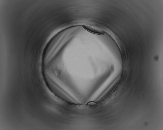 X0000101151147200807181328