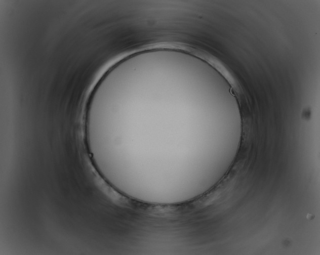 X0000101151148200807181328