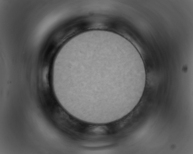 X0000101151150200807181328