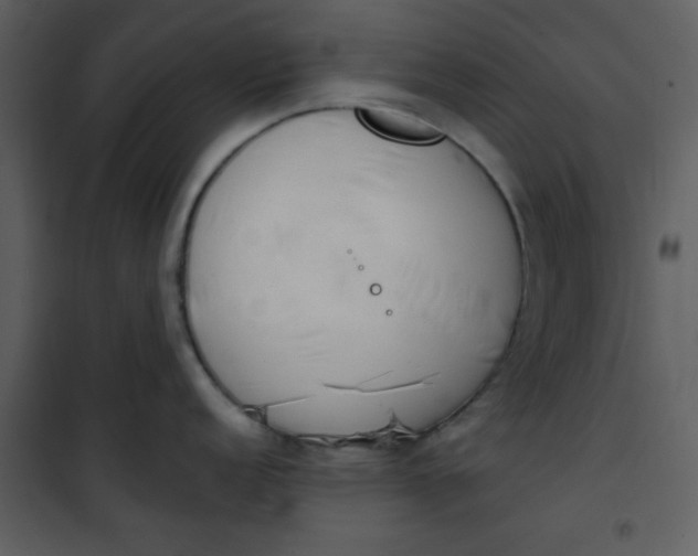 X0000101151152200807181328