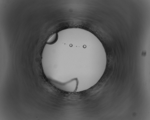 X0000101151153200807181327