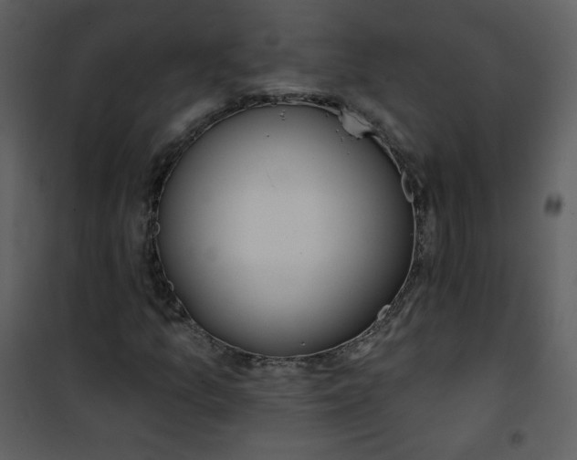 X0000101151157200807181327