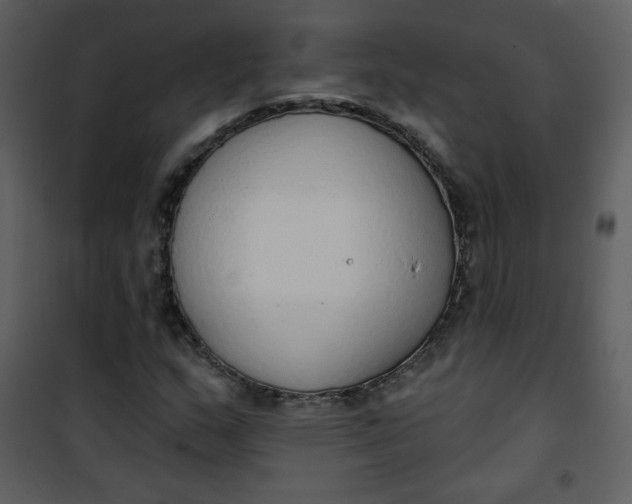 X0000101151159200807181327