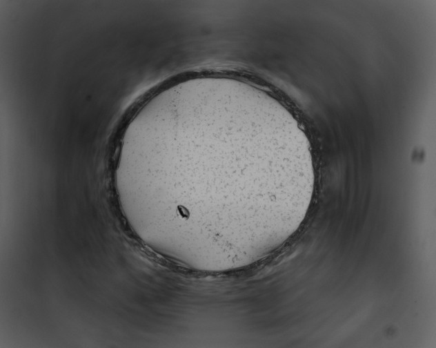 X0000101151160200807181327