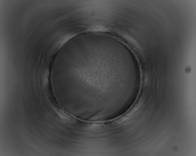 X0000101151161200807181327