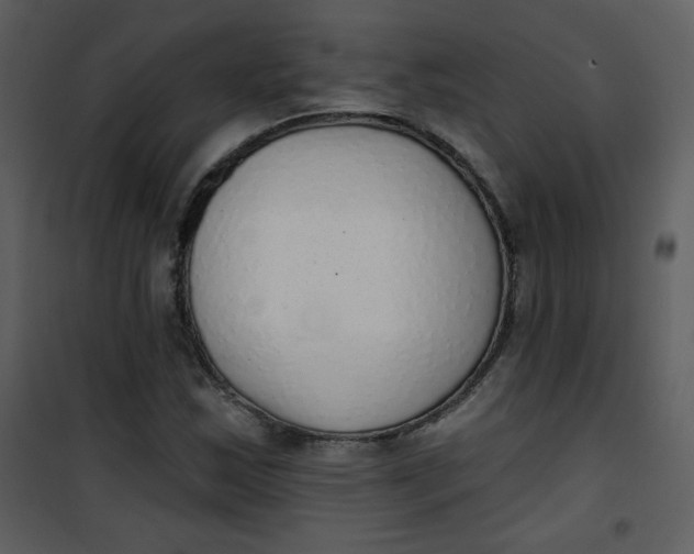 X0000101151163200807181327