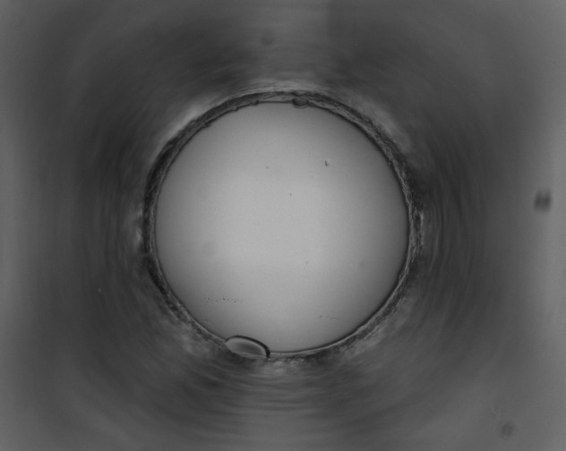 X0000101151165200807181327