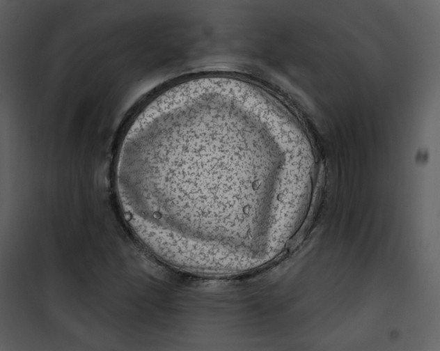 X0000101151166200807181327