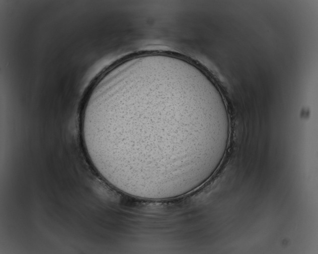 X0000101151167200807181327