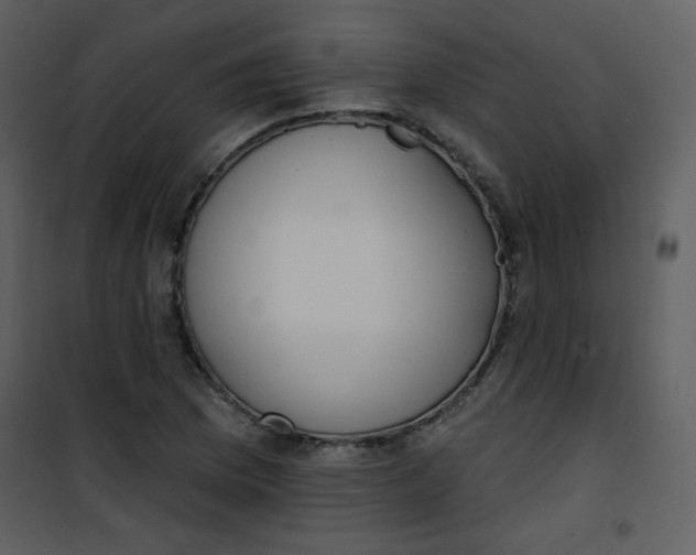 X0000101151169200807181327