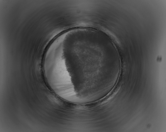 X0000101151170200807181326