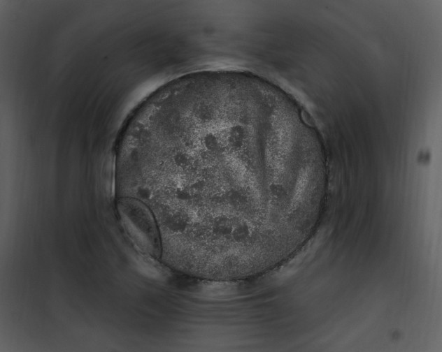 X0000101151171200807181326