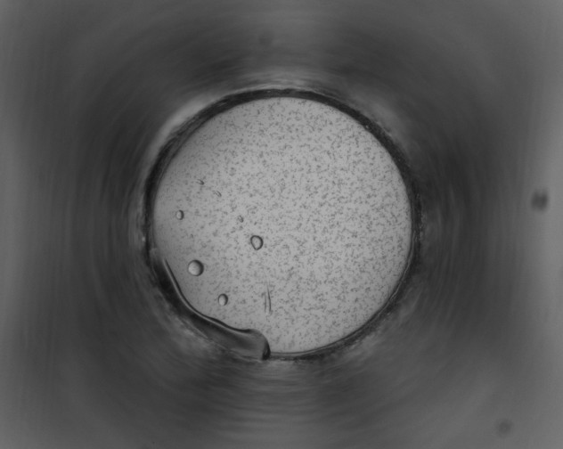 X0000101151172200807181326