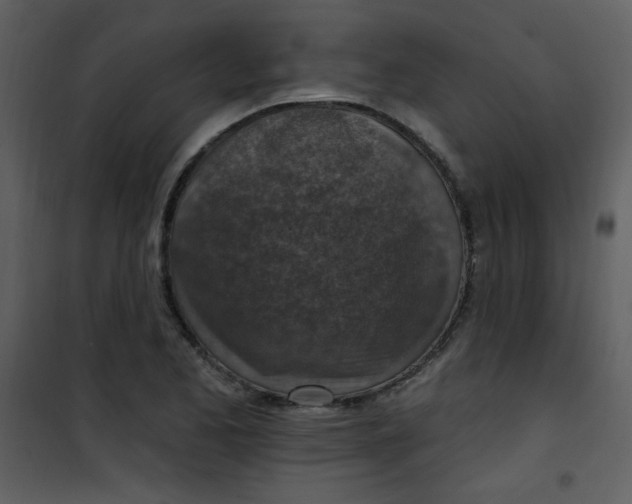 X0000101151173200807181326