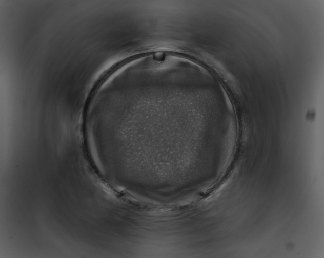 X0000101151174200807181326