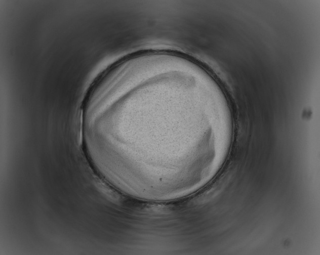 X0000101151175200807181326