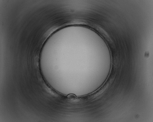 X0000101151177200807181326