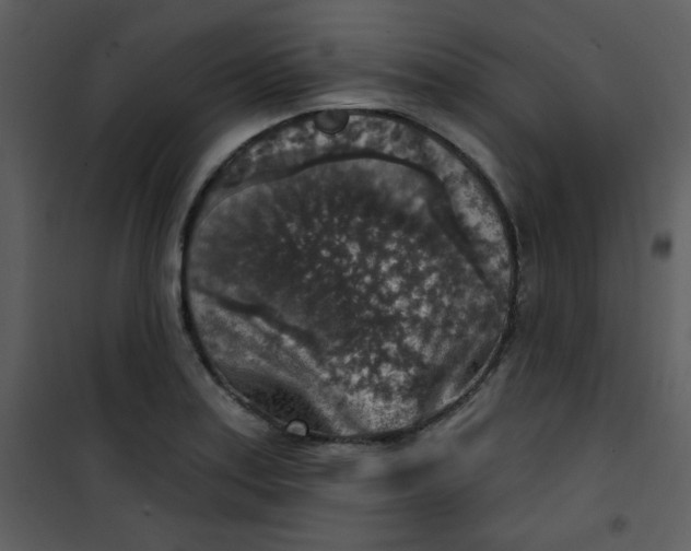 X0000101151179200807181326