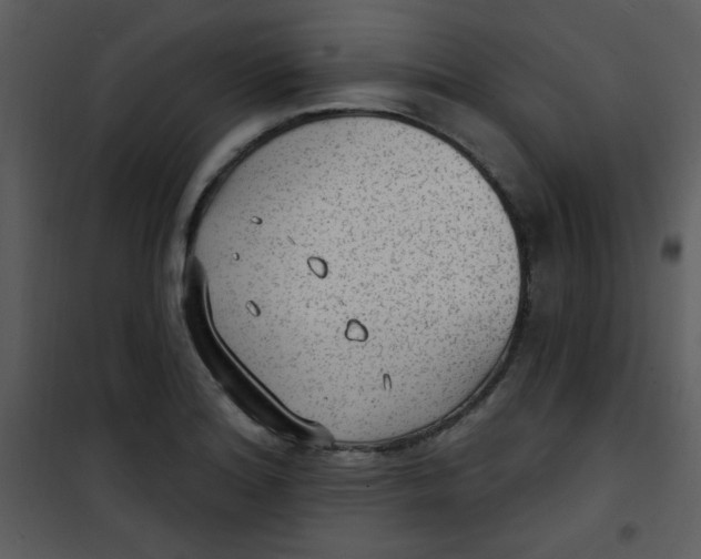 X0000101151180200807181326