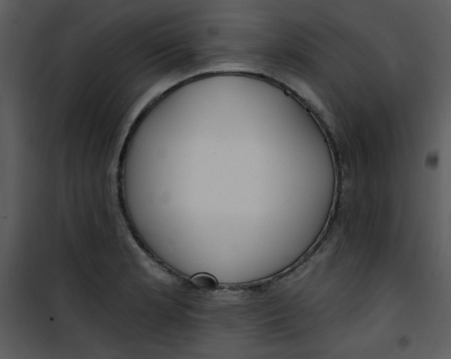 X0000101151181200807181326