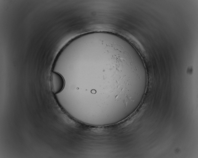 X0000101151182200807181326