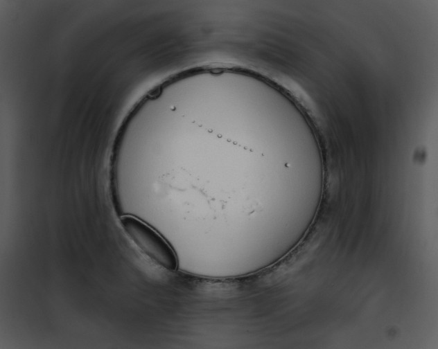 X0000101151183200807181326