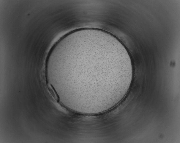 X0000101151184200807181326