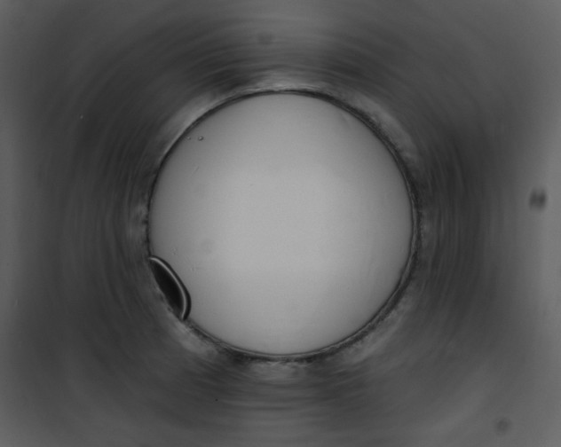 X0000101151185200807181326