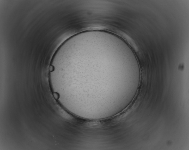 X0000101151186200807181326