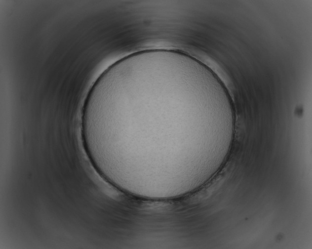 X0000101151187200807181326