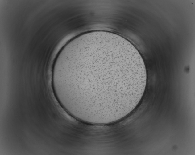 X0000101151188200807181326